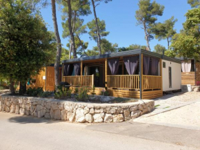 Mobile home Nika